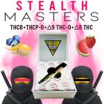 stealthmasters strawatermelon&pancakes